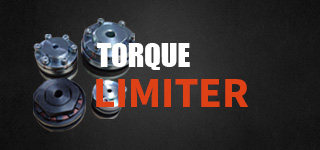 Torque-Limiter